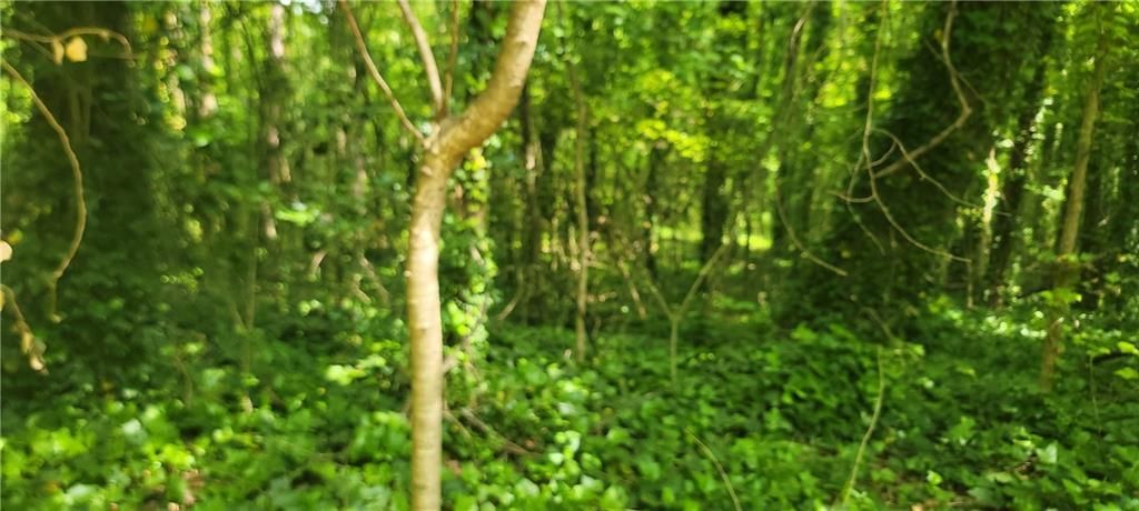 MLS #7564156 image #0