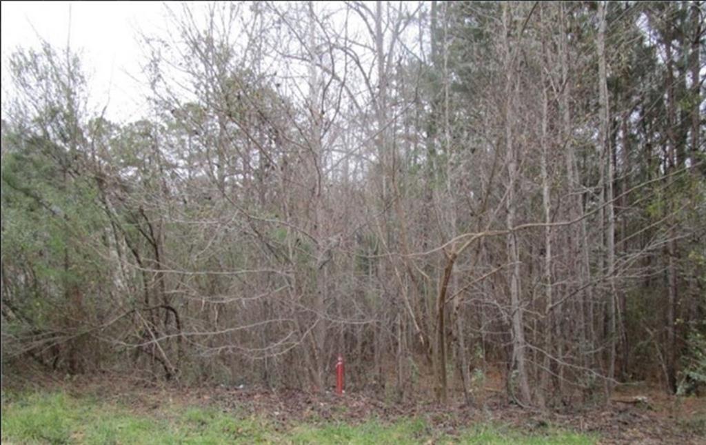 MLS #7564322 image #0