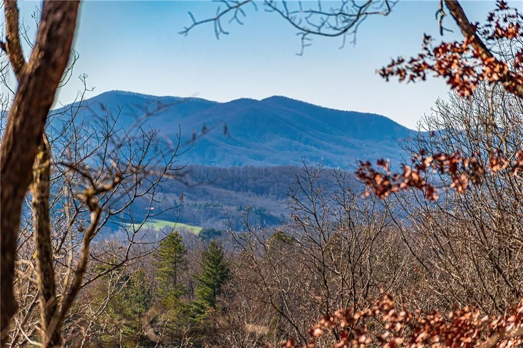 MLS #7565217 image #0