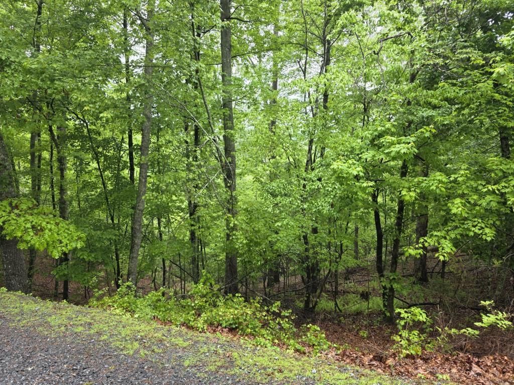 MLS #7569886 image #0