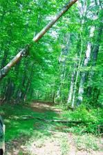 MLS #7570801 image #0