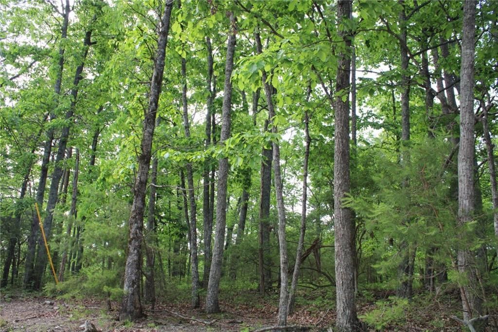 MLS #7571953 image #0