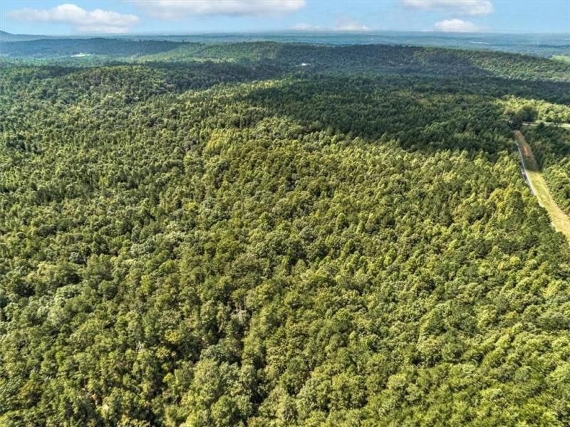 MLS #7572058 image #0