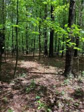 MLS #7573954 image #0