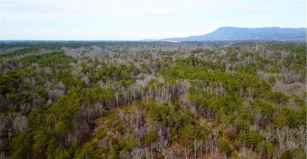 MLS #7575463 image #0