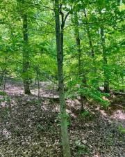 MLS #7576330 image #0