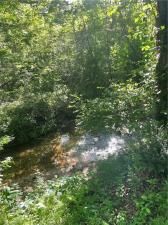 MLS #7578865 image #0