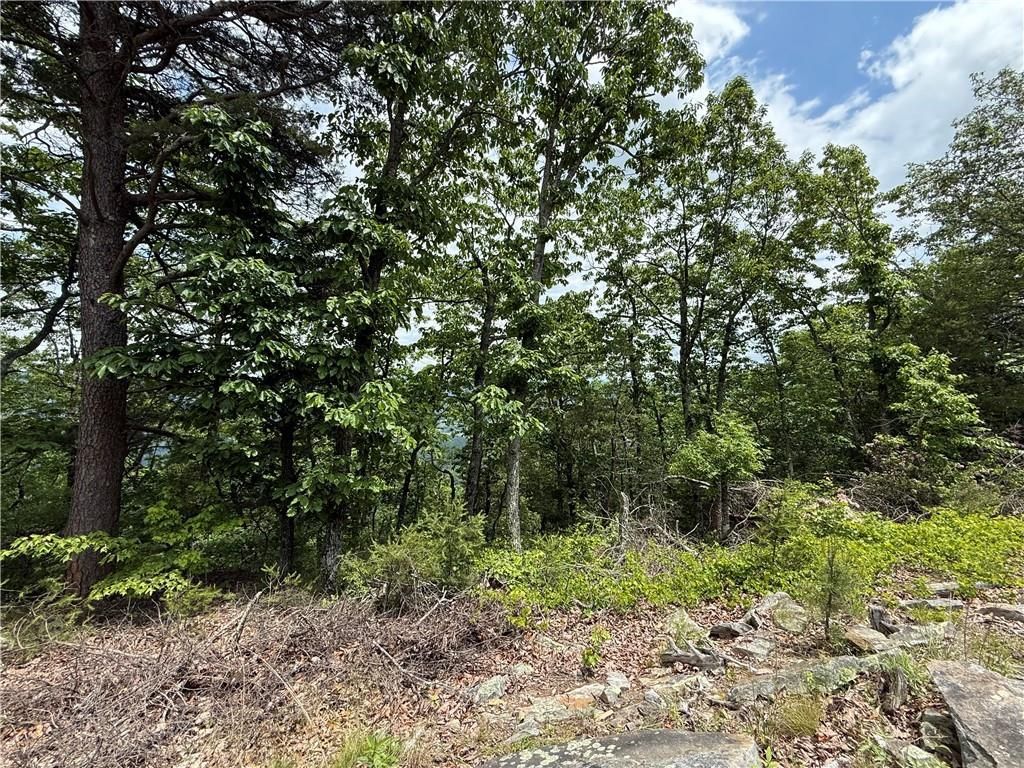 MLS #7578881 image #0