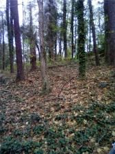 MLS #7579239 image #0