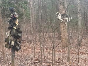 MLS #7581549 image #0