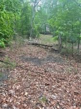 MLS #7585340 image #0