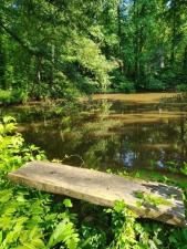 MLS #7586356 image #0