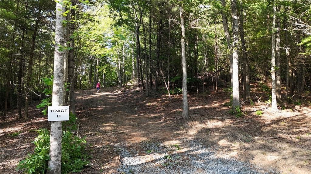 MLS #7587260 image #0