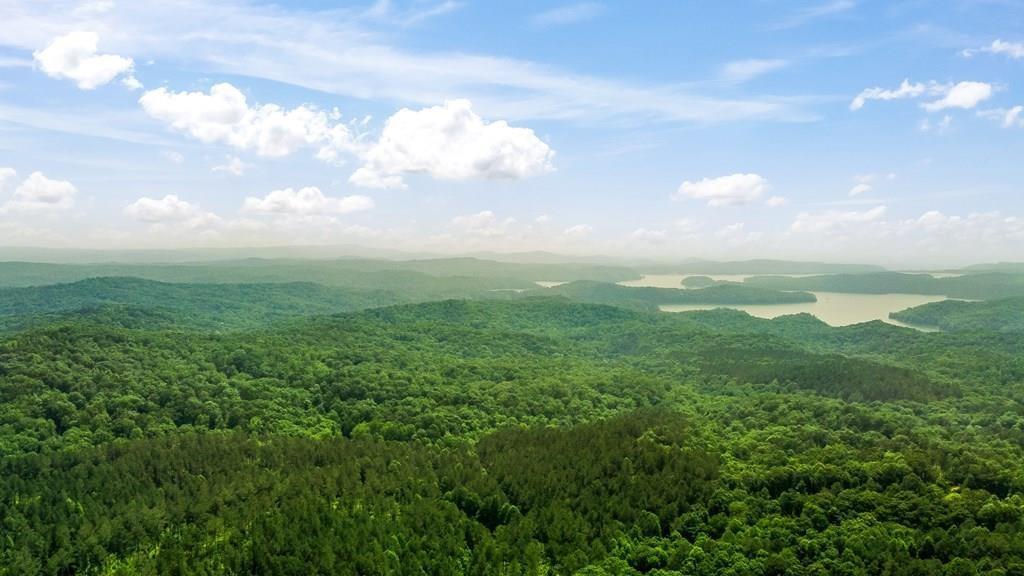 MLS #7588194 image #0