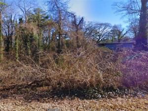 MLS #7592058 image #0