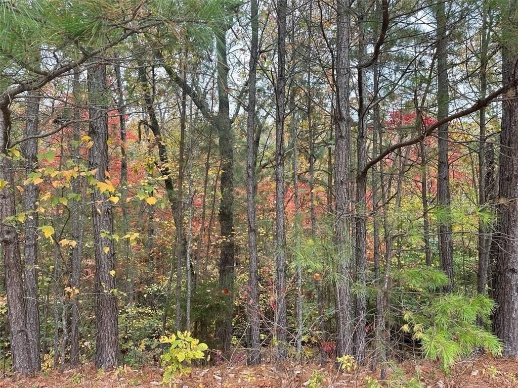 MLS #7593651 image #0