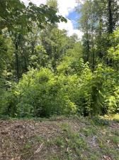 MLS #7595484 image #0