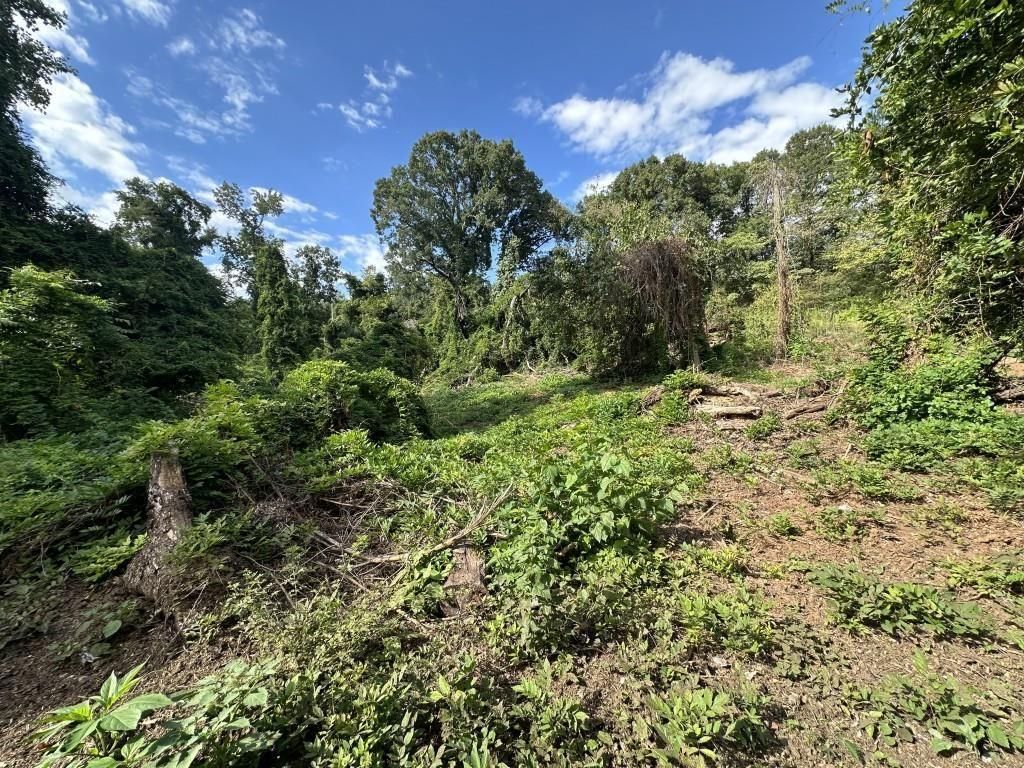 MLS #7597711 image #0