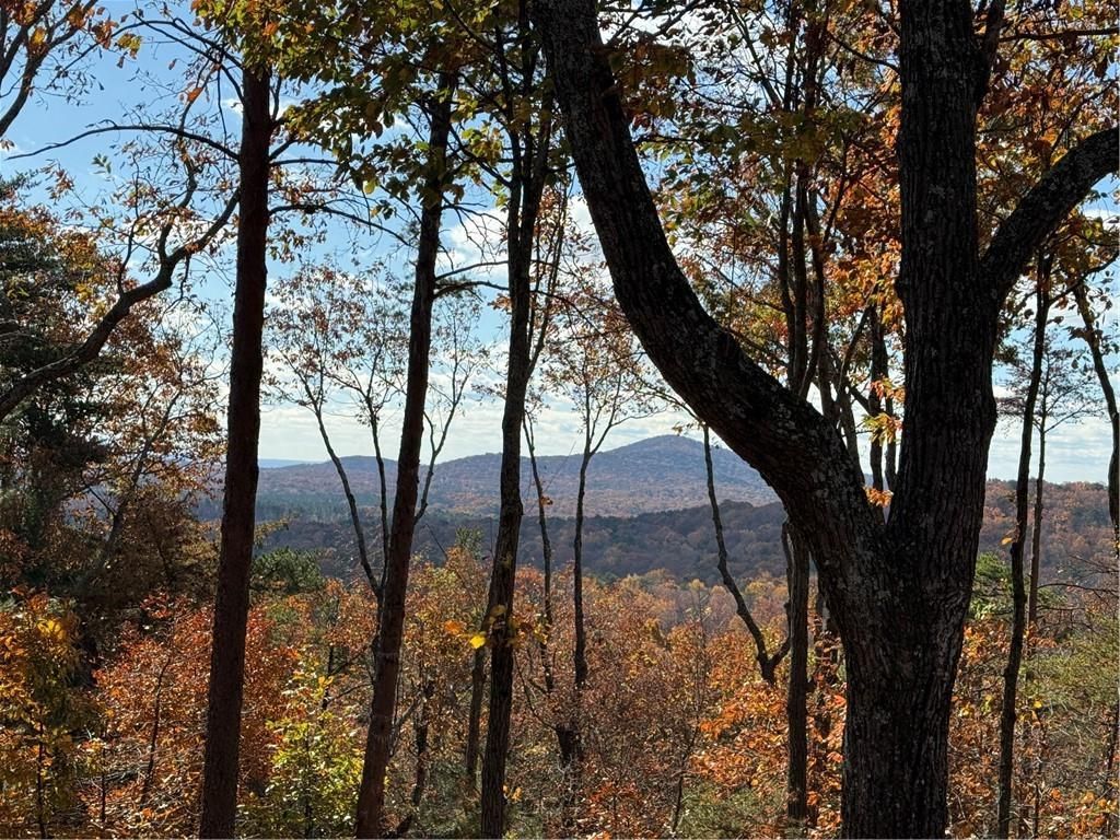 MLS #7599254 image #0