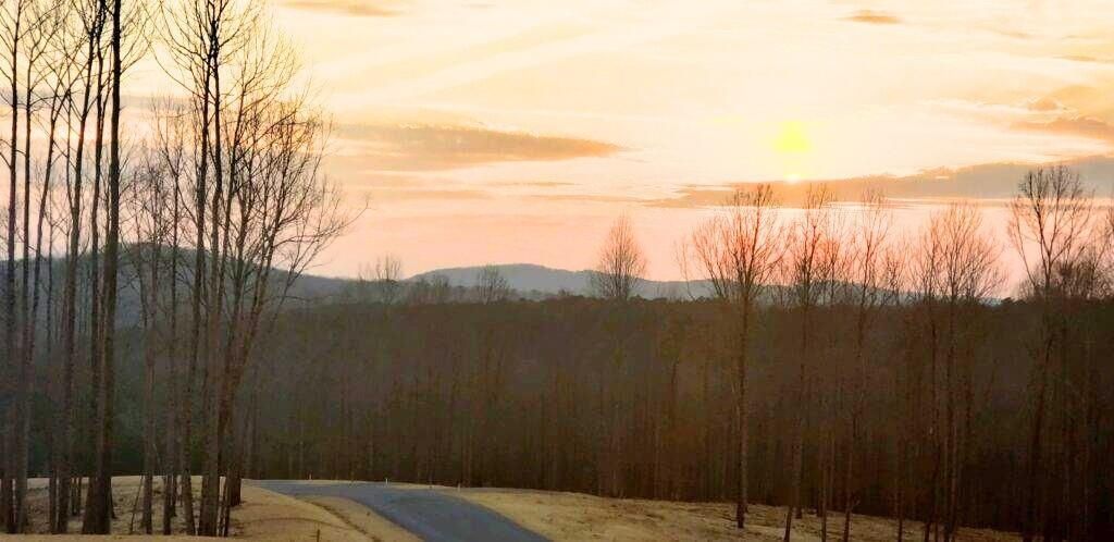 MLS #7599867 image #0