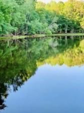 MLS #7602371 image #0