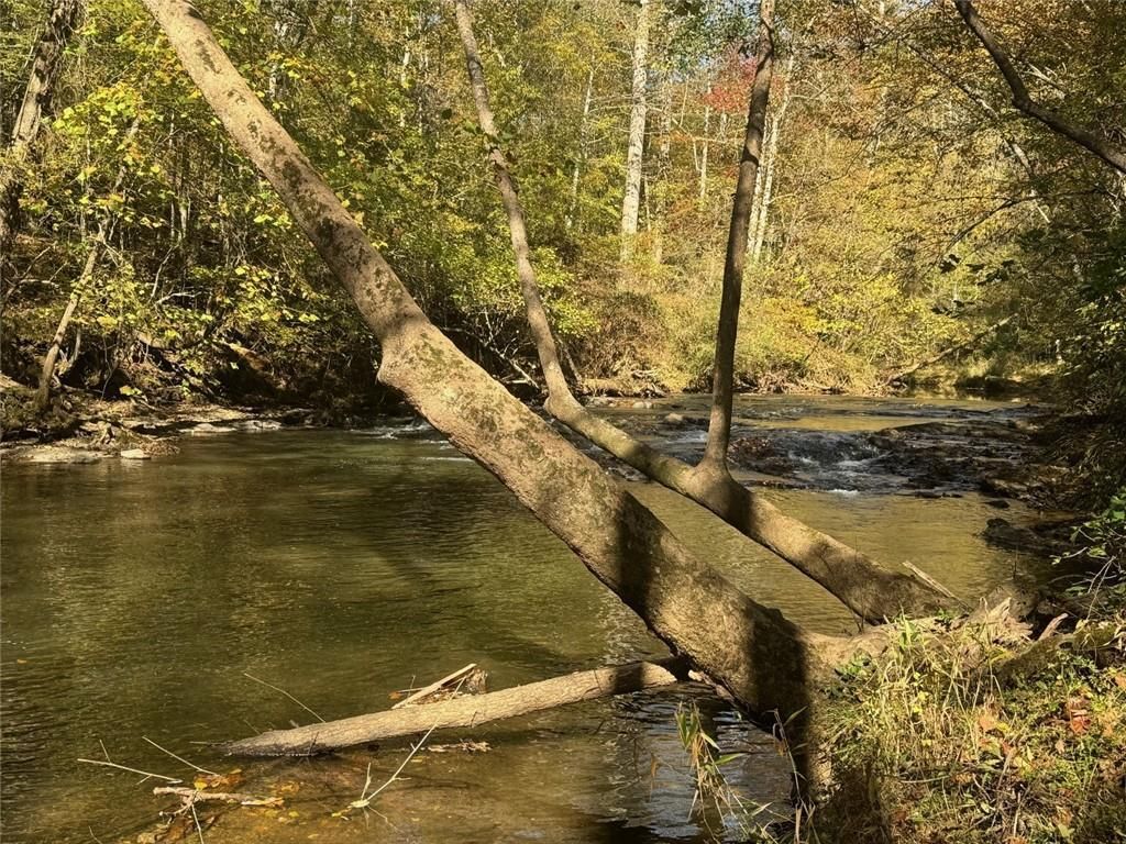 MLS #7604385 image #0