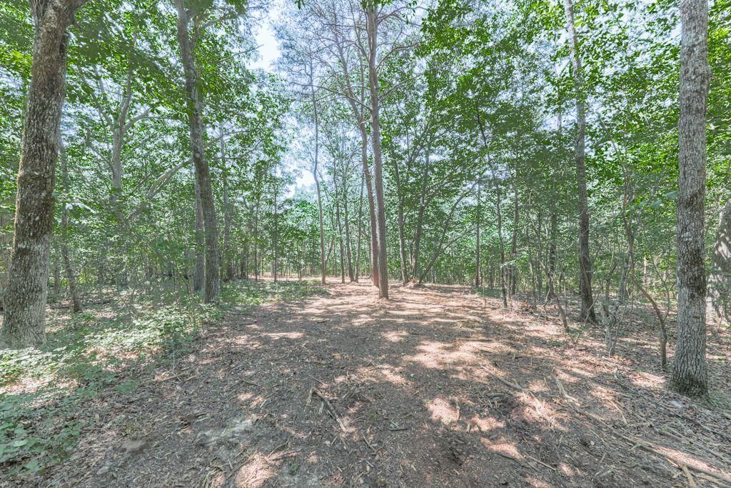 MLS #7604850 image #0