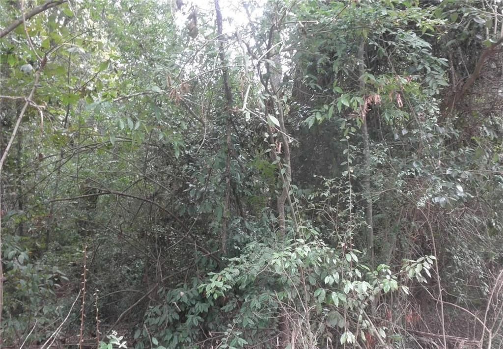 MLS #7605983 image #0