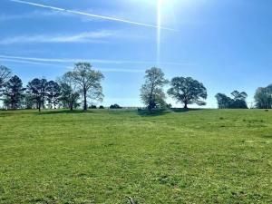 MLS #7609729 image #0