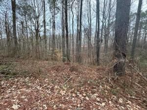 MLS #7610197 image #0