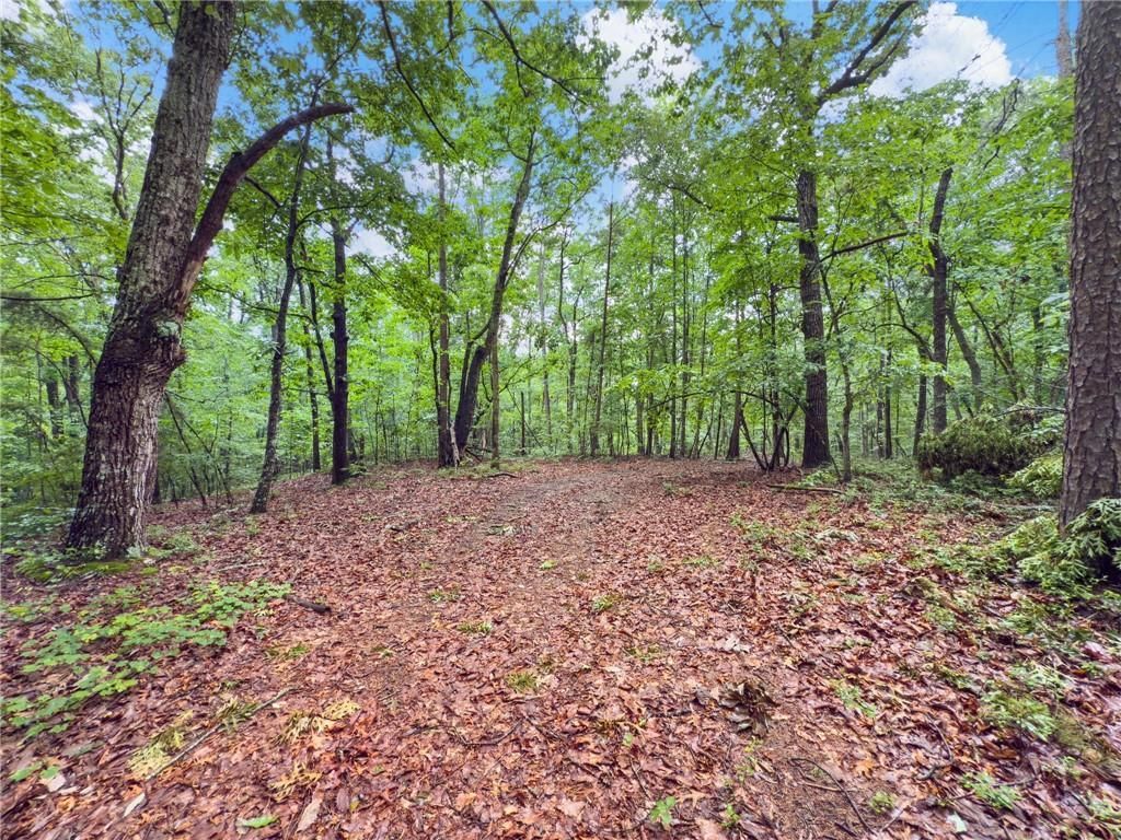 MLS #7615334 image #0