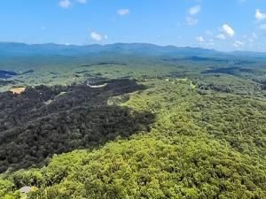 MLS #7615360 image #0