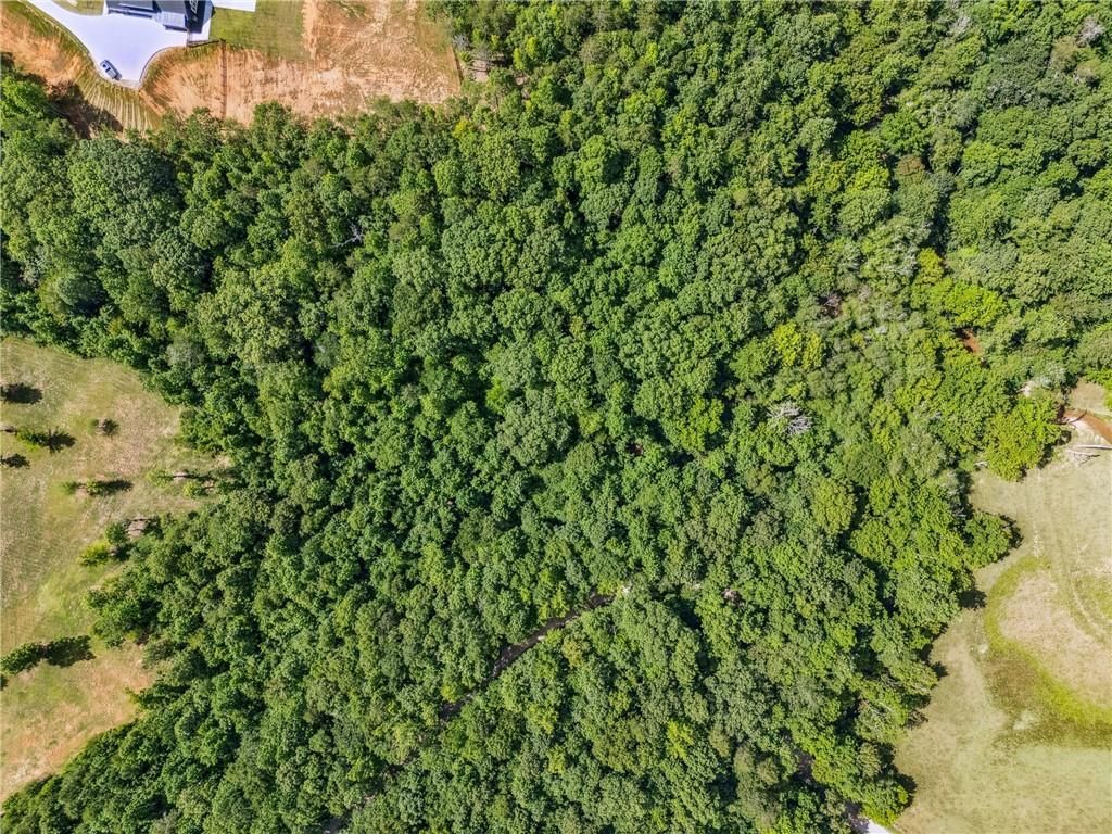 MLS #7616550 image #0