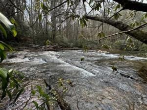 MLS #7620338 image #0