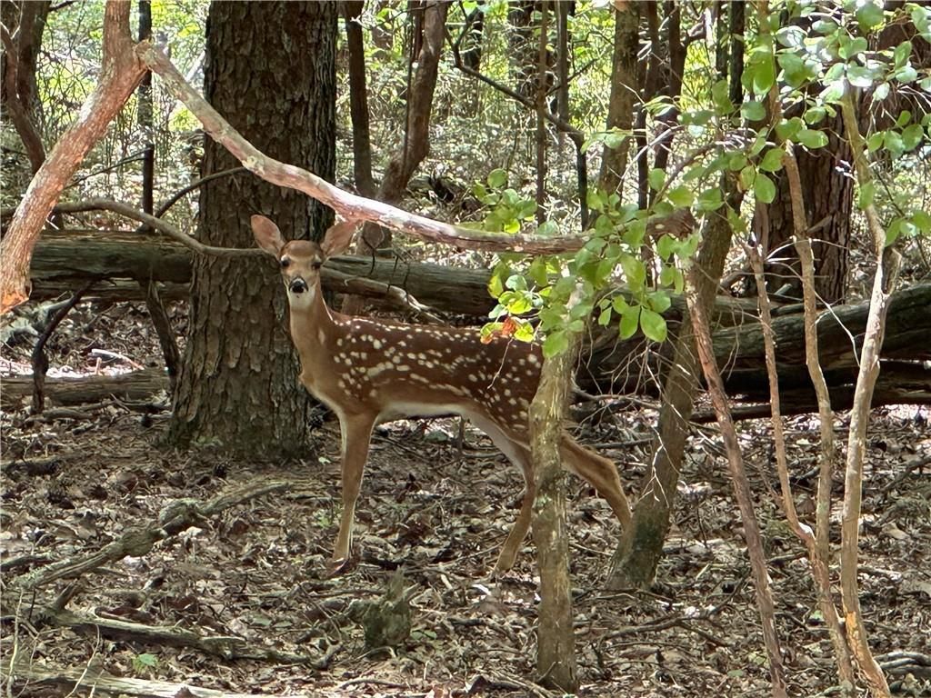 MLS #7622821 image #0