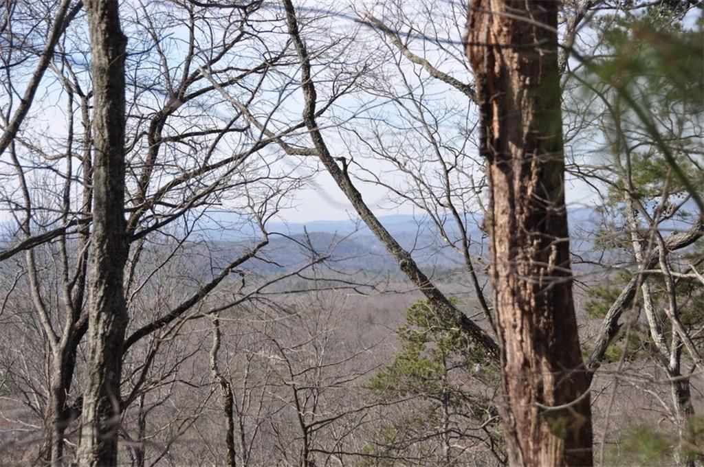 MLS #7623841 image #0