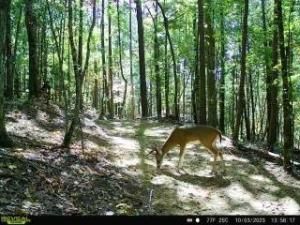 MLS #7624053 image #0