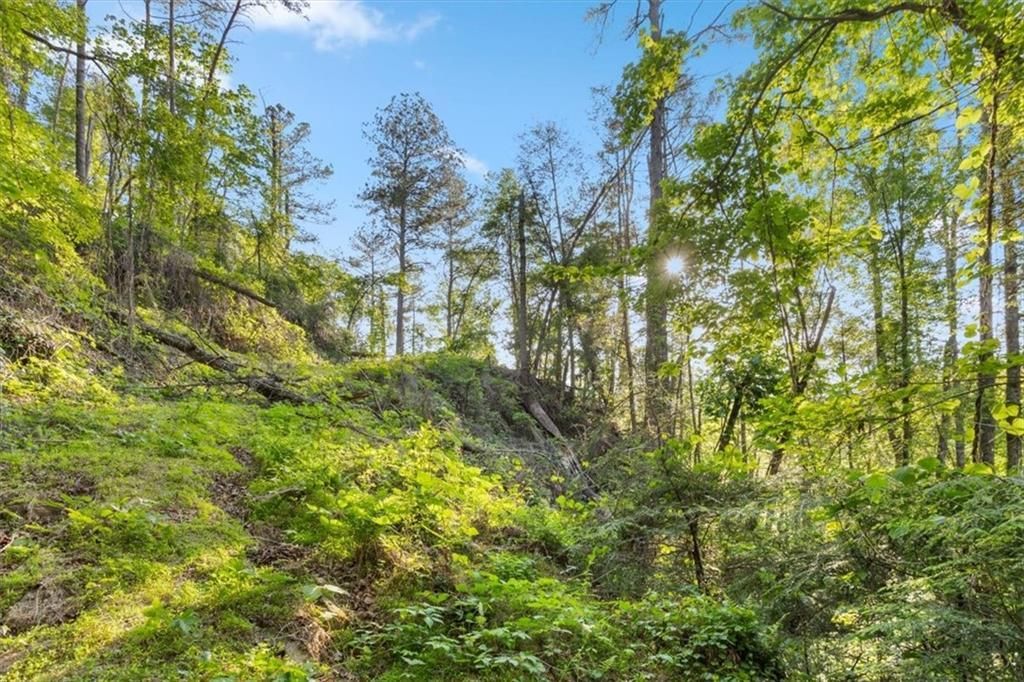 MLS #7625213 image #0