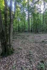 MLS #7625486 image #0