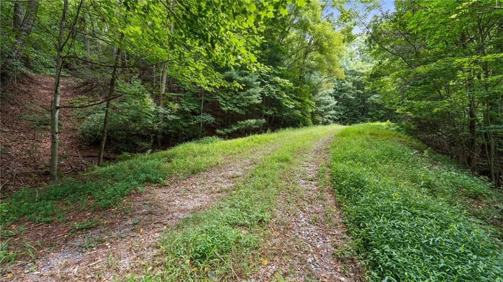 MLS #7627028 image #0