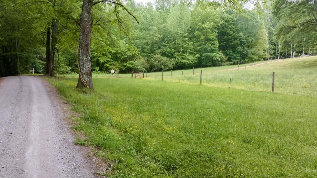 MLS #7627451 image #0