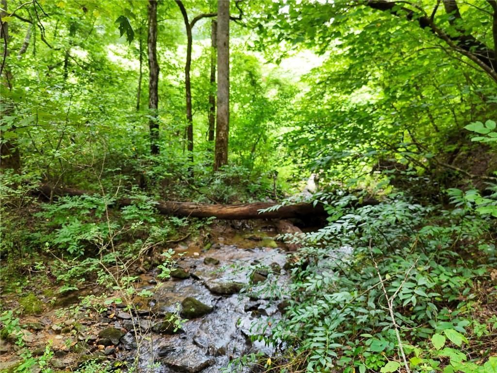 MLS #7628537 image #0