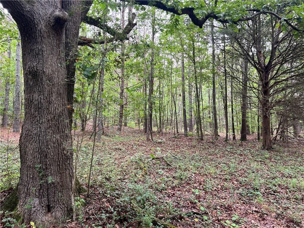 MLS #7629052 image #0