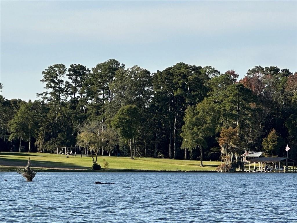 MLS #7630401 image #0