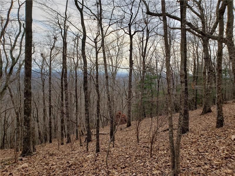 MLS #7631200 image #0