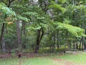 MLS #7631847 image #0