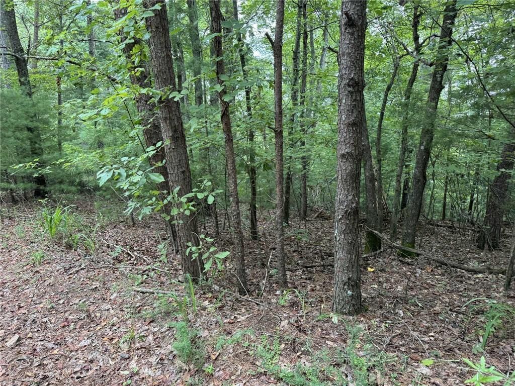 MLS #7631862 image #0