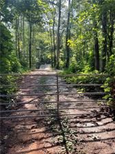 MLS #7631876 image #0