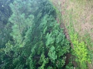 MLS #7633482 image #0