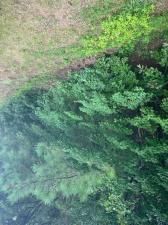 MLS #7633482 image #0